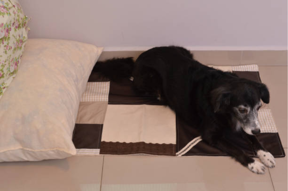 Dog Mattress for Sale: The Ultimate Guide to Choosing the Perfect Sleep Solution for Your Pet 