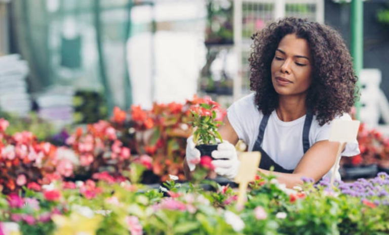 Florist Adelaide Spotlight: Crafting Elegant Floral Arrangements for Every Occasion