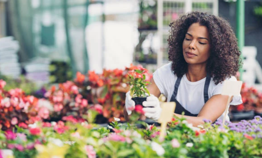 Florist Adelaide Spotlight: Crafting Elegant Floral Arrangements for Every Occasion