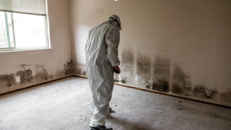 How Specialized Equipment is Used to Contain Contamination during Mold Remediation Services