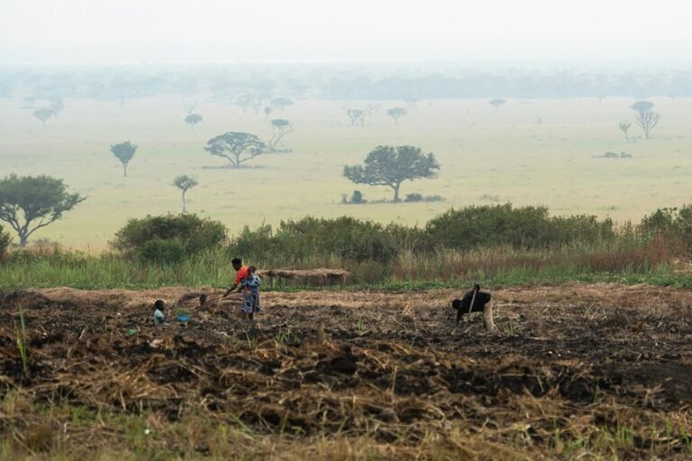 business growth evaluation metrics